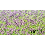 Tappeto erboso T108-4